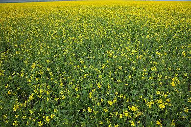 动作探索游戏《巨洞冒险》新增PS5和XS版