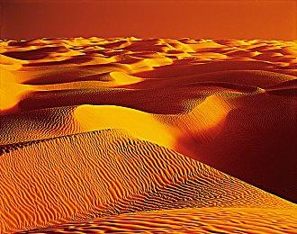 《暗黑4》吸血鬼猎人通缉活动预告 女星莎拉出镜