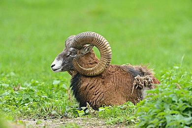 《生化奇兵》系列15周年 或将有全新消息近日公布